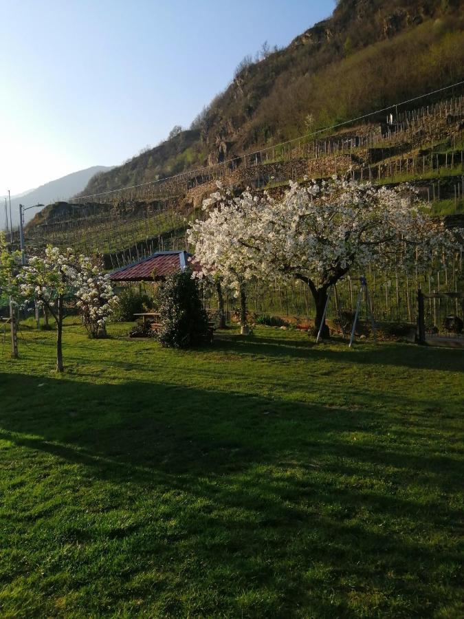 Casa Vacanze La Ca Del Cunfec Sondrio Kültér fotó