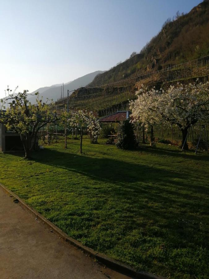 Casa Vacanze La Ca Del Cunfec Sondrio Kültér fotó