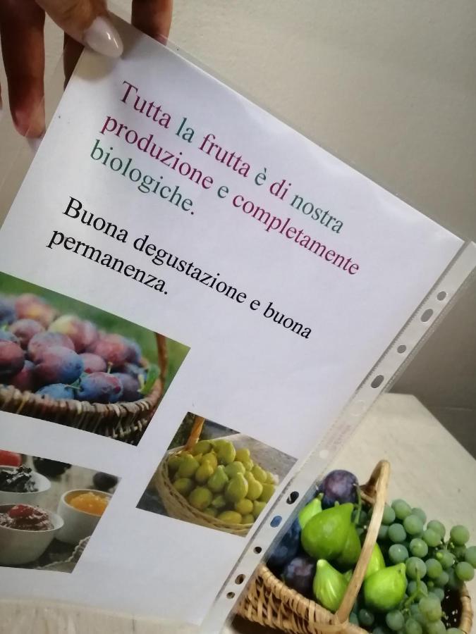 Casa Vacanze La Ca Del Cunfec Sondrio Kültér fotó